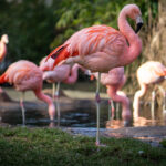 Kort Commentaar Omgevingsrecht | Week 39