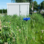 Kort commentaar omgevingsrecht week 38 | vergunningvrij bouwwerk