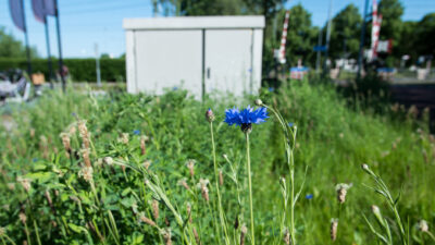 Kort commentaar omgevingsrecht week 38 | vergunningvrij bouwwerk