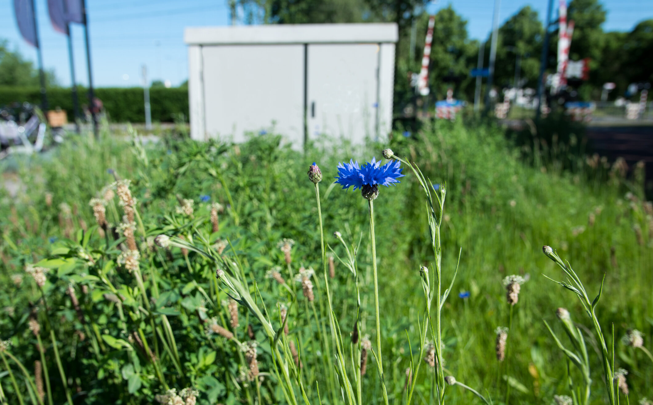 Kort commentaar omgevingsrecht week 38 | vergunningvrij bouwwerk