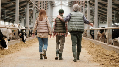 Bedrijfsopvolging in de agrarische sector: bescherming tegen legitimarissen